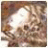 Anya177ml